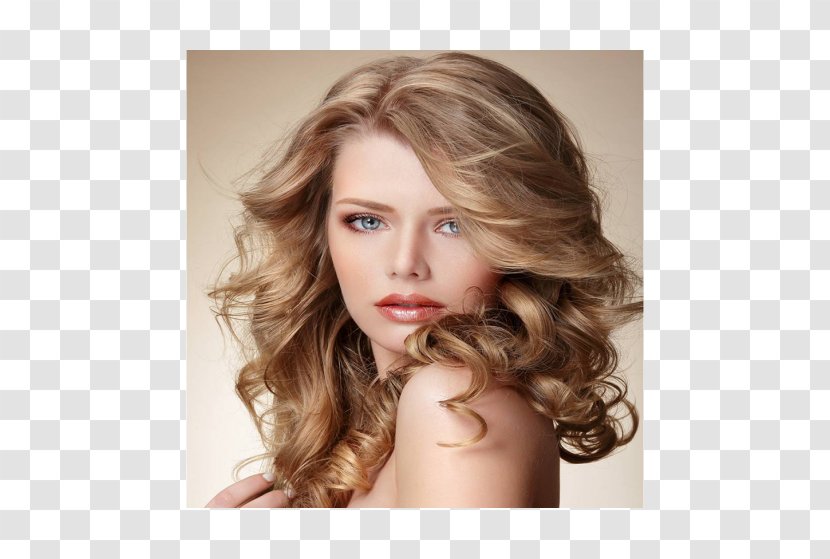 Hairstyle Cosmetics Beauty Parlour Hair Care Brush Transparent PNG