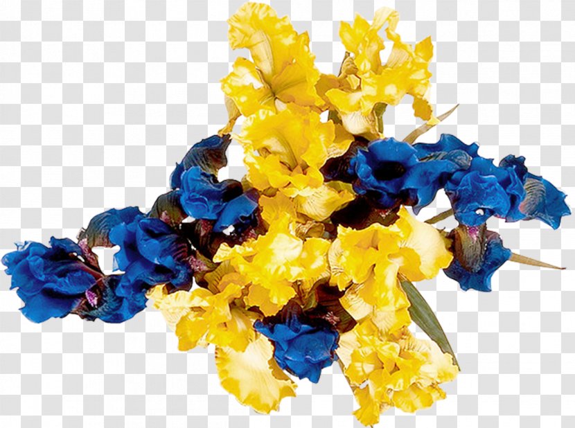 Cut Flowers Floral Design Cobalt Blue - Iris Transparent PNG