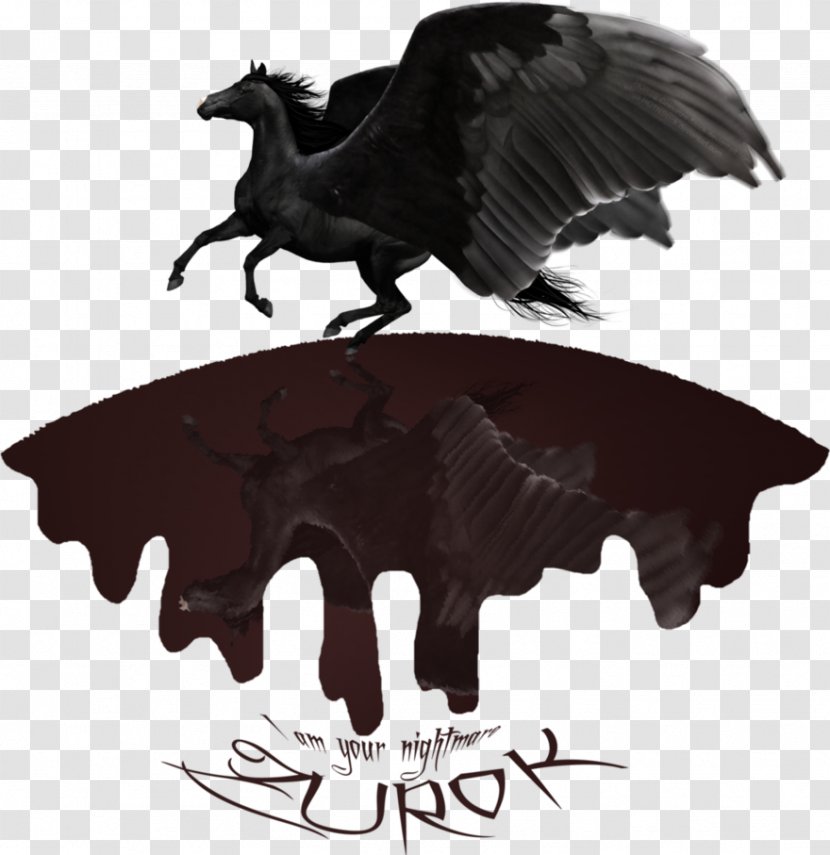 Bird Of Prey Beak Black - Pegasus Transparent PNG