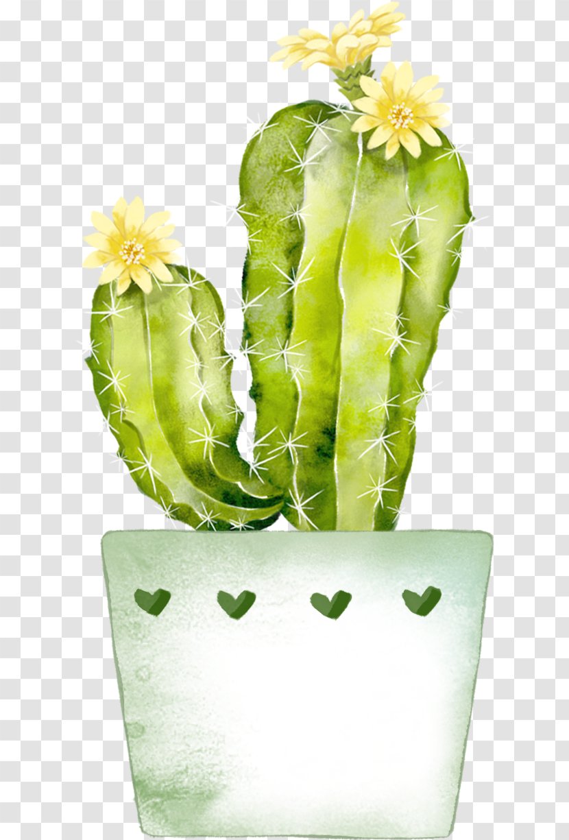 Cactaceae Watercolor Painting Green - Plant - Cartoon Cactus Transparent PNG