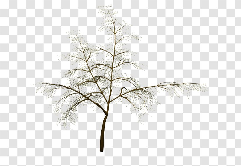 Twig Plant Stem Leaf Line - Branch - Three Dimensional Blocks Transparent PNG