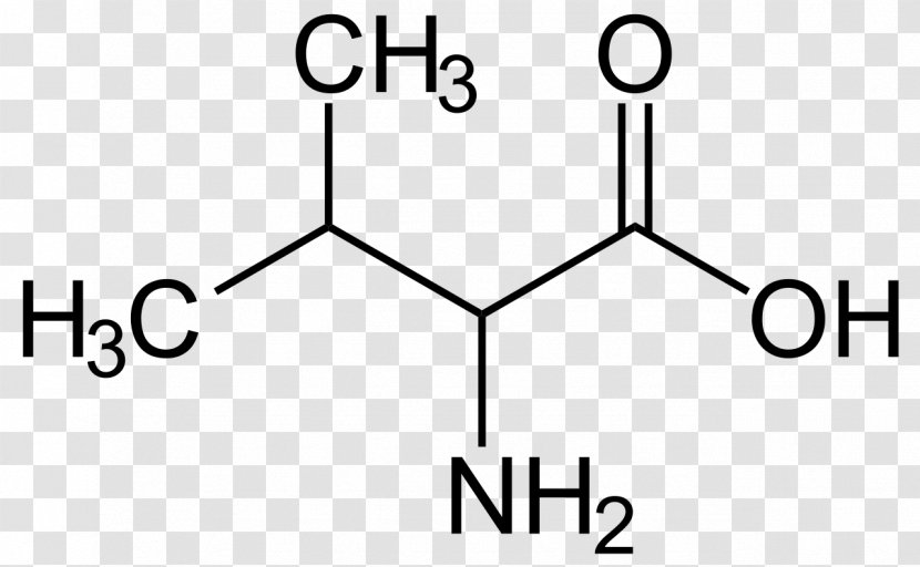 Valine Isoleucine Branched-chain Amino Acid Structure - Silhouette - Frame Transparent PNG