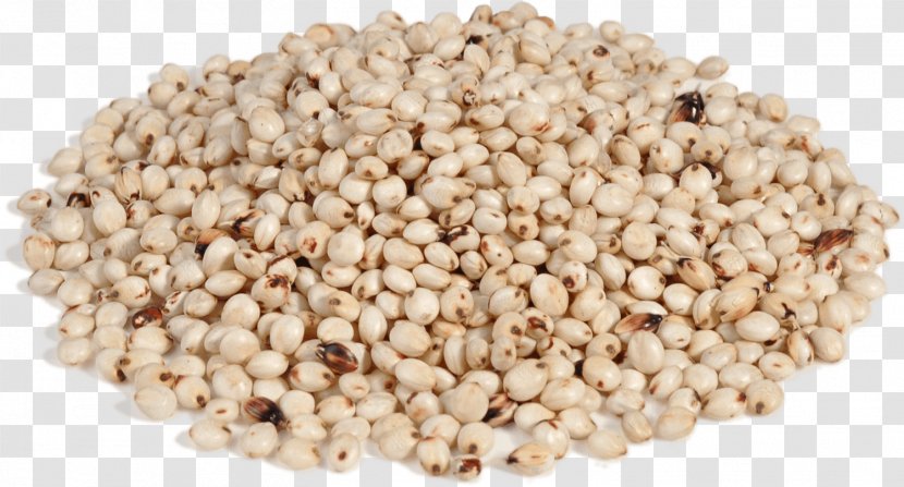 Lentil Food Cereal Porridge Split Pea Transparent PNG