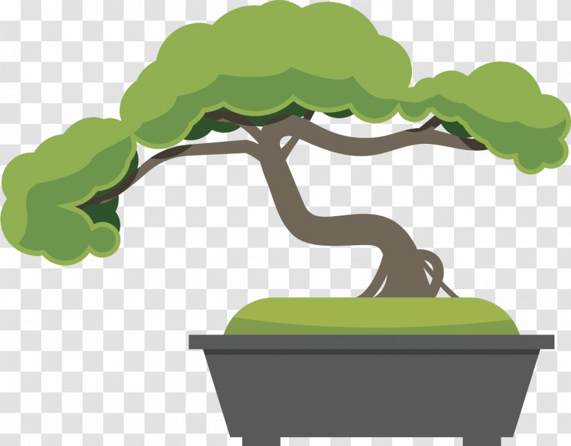 Bonsai Vector Graphics Tree Flowerpot Penjing - Plant - Accuarella Icon Transparent PNG