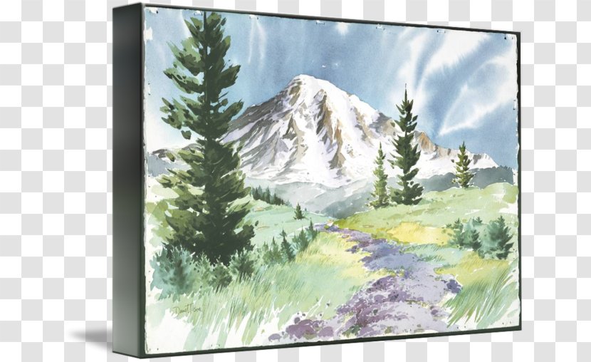 Watercolor Painting Landscape Tree - Picture Frames Transparent PNG