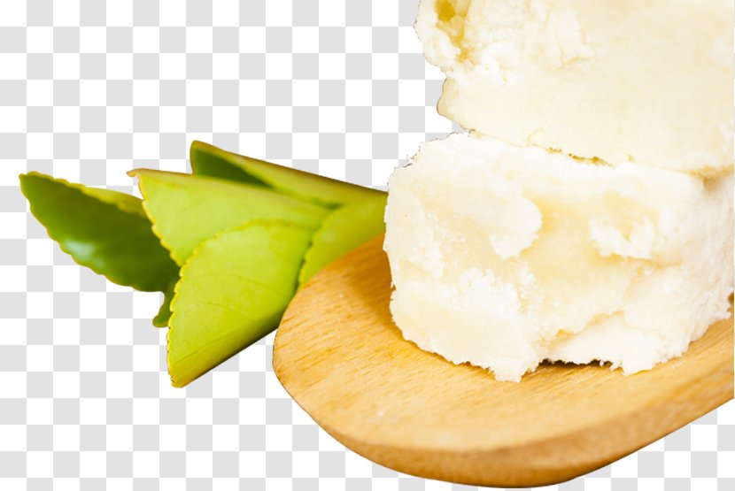 Shea Butter Vitellaria Exfoliation Afro-textured Hair - Processed Cheese Transparent PNG