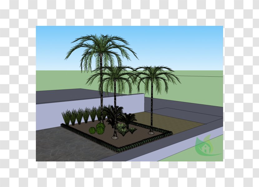 Palm Trees Landscaping Land Lot Real Property - Plant - Garden Center Transparent PNG