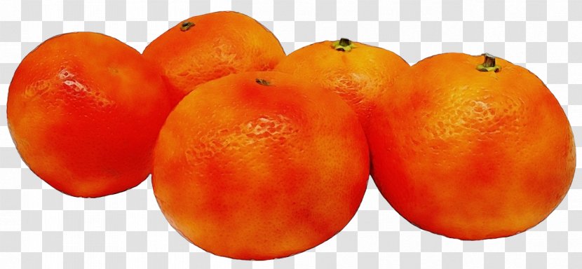 Orange - Natural Foods - Vegetarian Food Plant Transparent PNG
