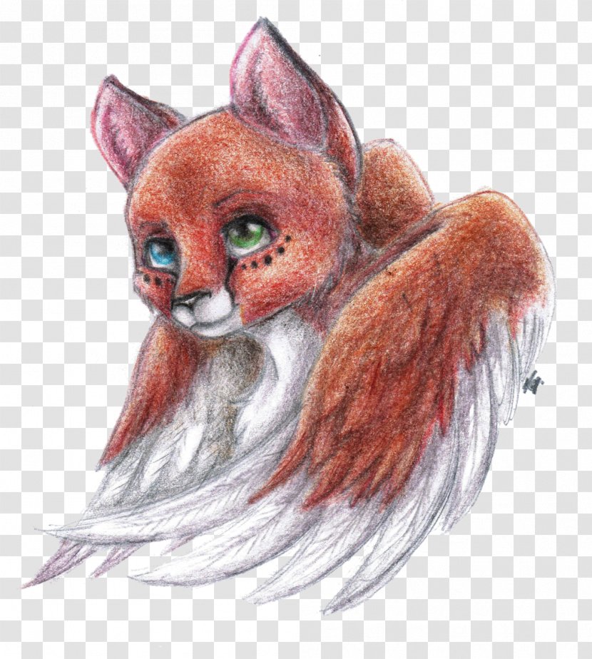 Whiskers Red Fox Cat Drawing - Mammal Transparent PNG