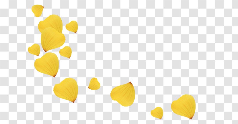 Petal Flower Yellow Clip Art - Heart Transparent PNG
