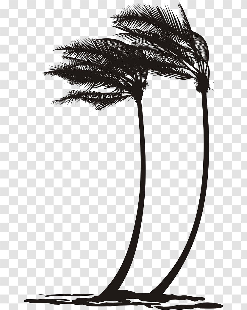 Arecaceae Wind Tree Clip Art - Arecales - Black Was Blown Over The Coconut Transparent PNG