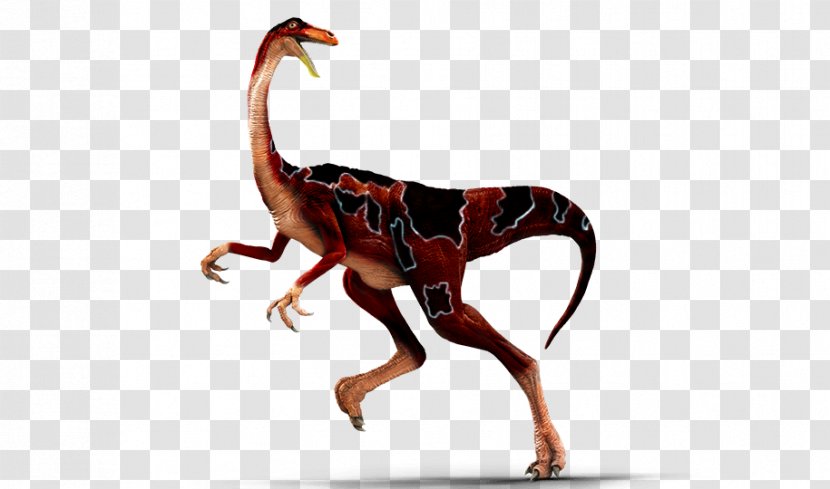 Gallimimus Apatosaurus Metriacanthosaurus Dinosaur King Tyrannosaurus - World Transparent PNG