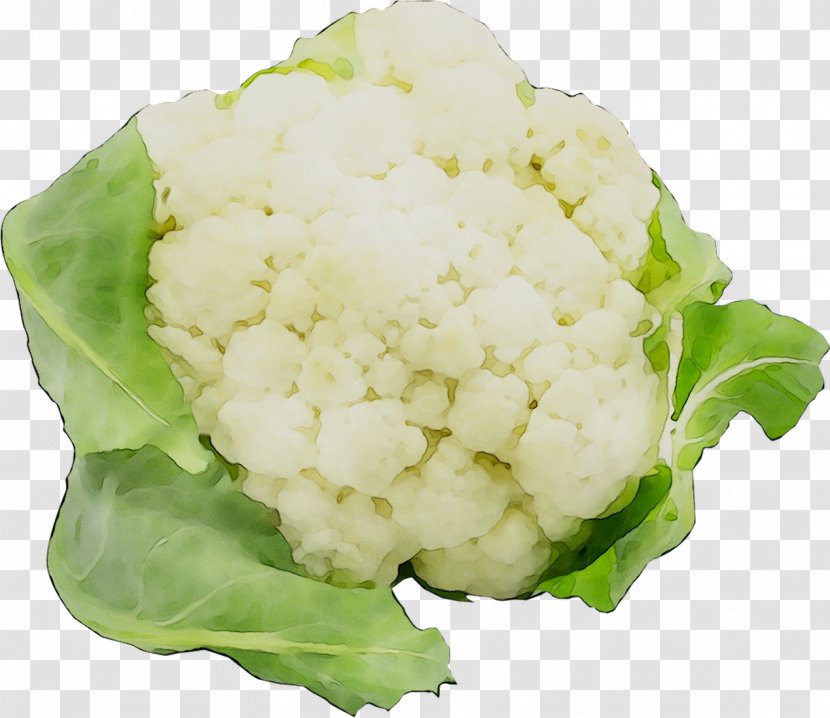 Cauliflower Cabbage Cruciferous Vegetables Mustards Ingredient - Leaf Vegetable Transparent PNG