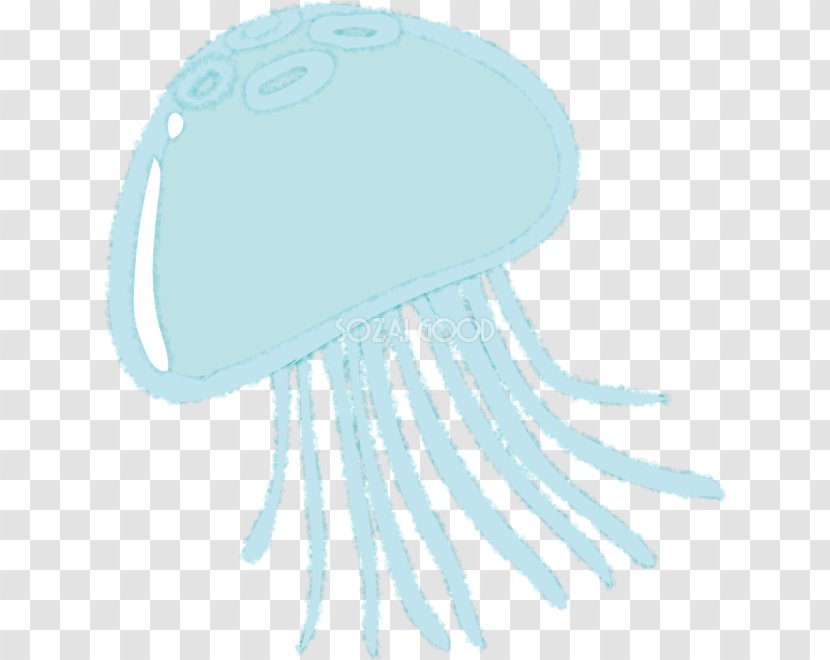 Jellyfish Illustration Sea Moon Jelly Kamo Aquarium - Headgear - Summer Transparent PNG