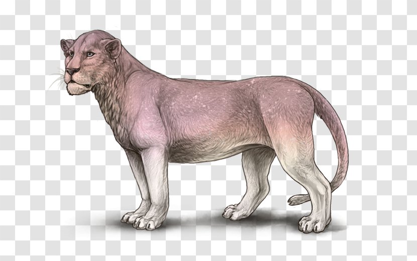 Lion Image Felidae Leopard Jaguar Transparent PNG