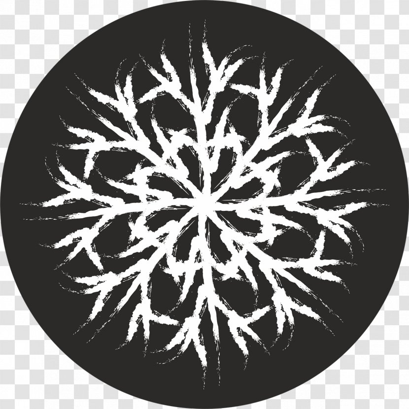 Snowflake Image File Formats - Snow Transparent PNG