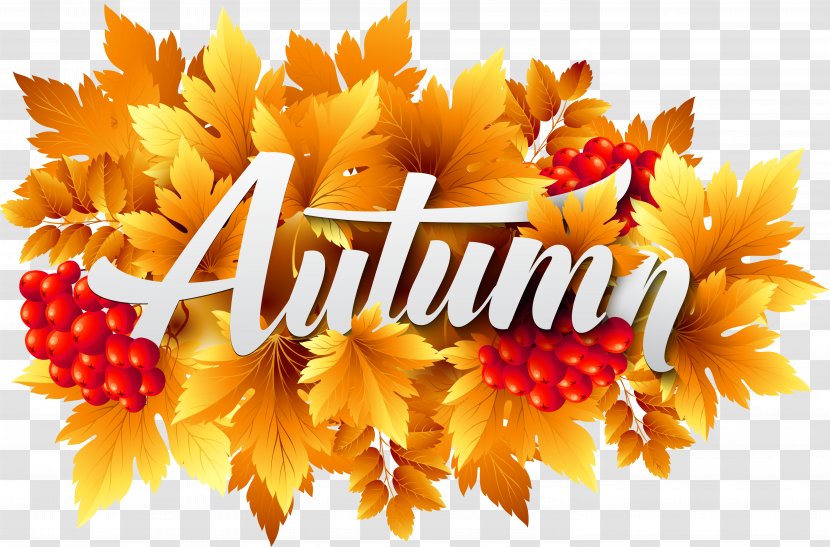 Autumn Clip Art - Floral Design - Decorative Image Clipart Transparent PNG