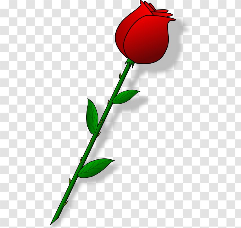 Rose Clip Art - Plant Stem - Buds Transparent PNG