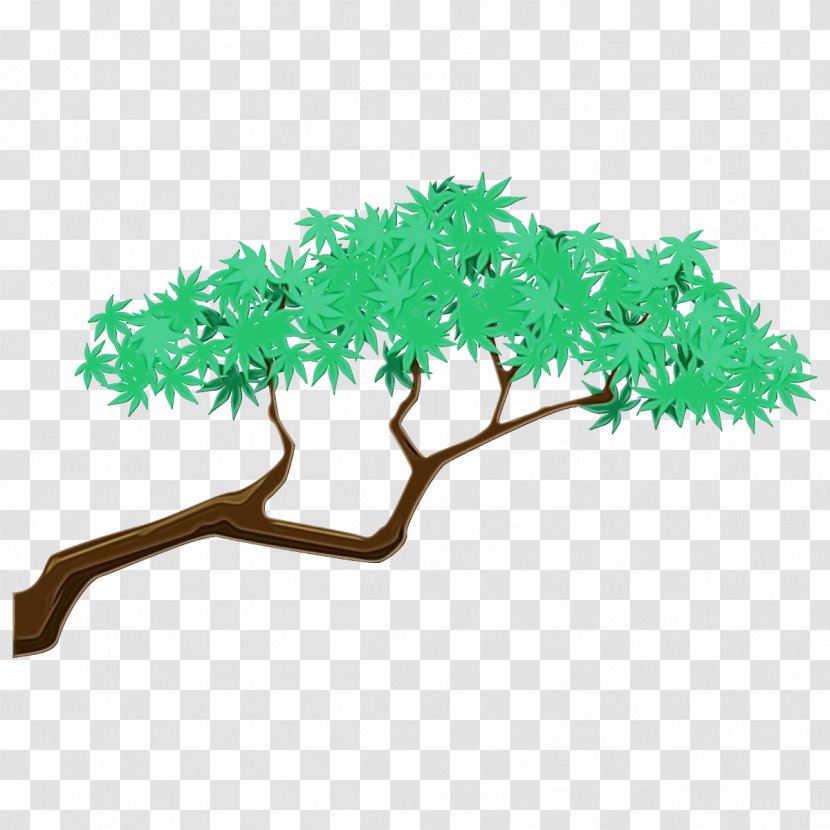 Green Tree Branch Leaf Plant - Stem Grass Transparent PNG