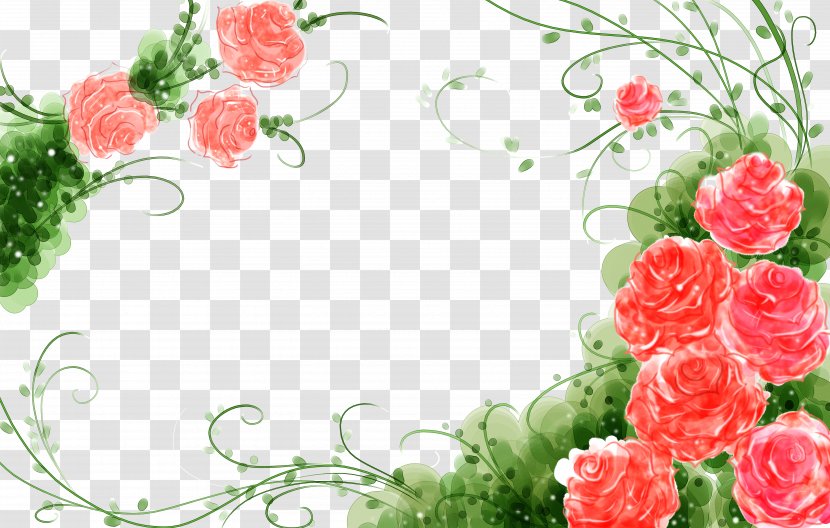 Garden Roses Flower Watercolor Painting Illustration - Carnation - Flowers Vine Lace Background Transparent PNG