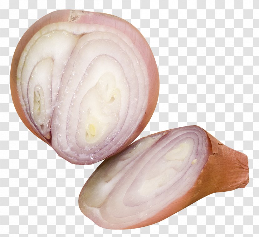 Shallot Slicing - Onion - Sliced Shallots Transparent PNG