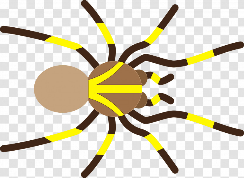 Insect Yellow Line Transparent PNG