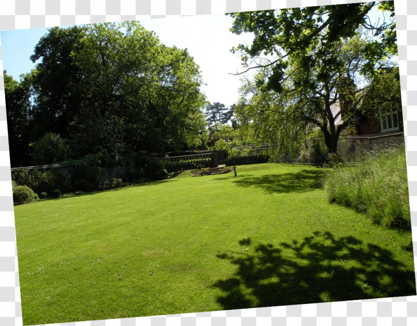 Property Landscape Land Lot Pond Grasses - Meter - Bracken Transparent PNG
