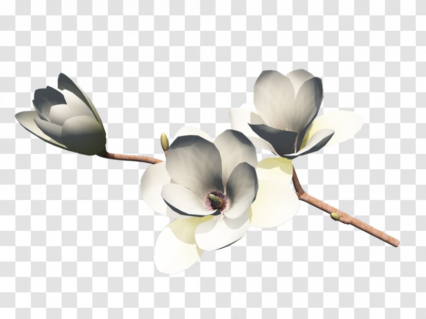 Flower Bouquet Petal Cut Flowers Nosegay - Rose Transparent PNG