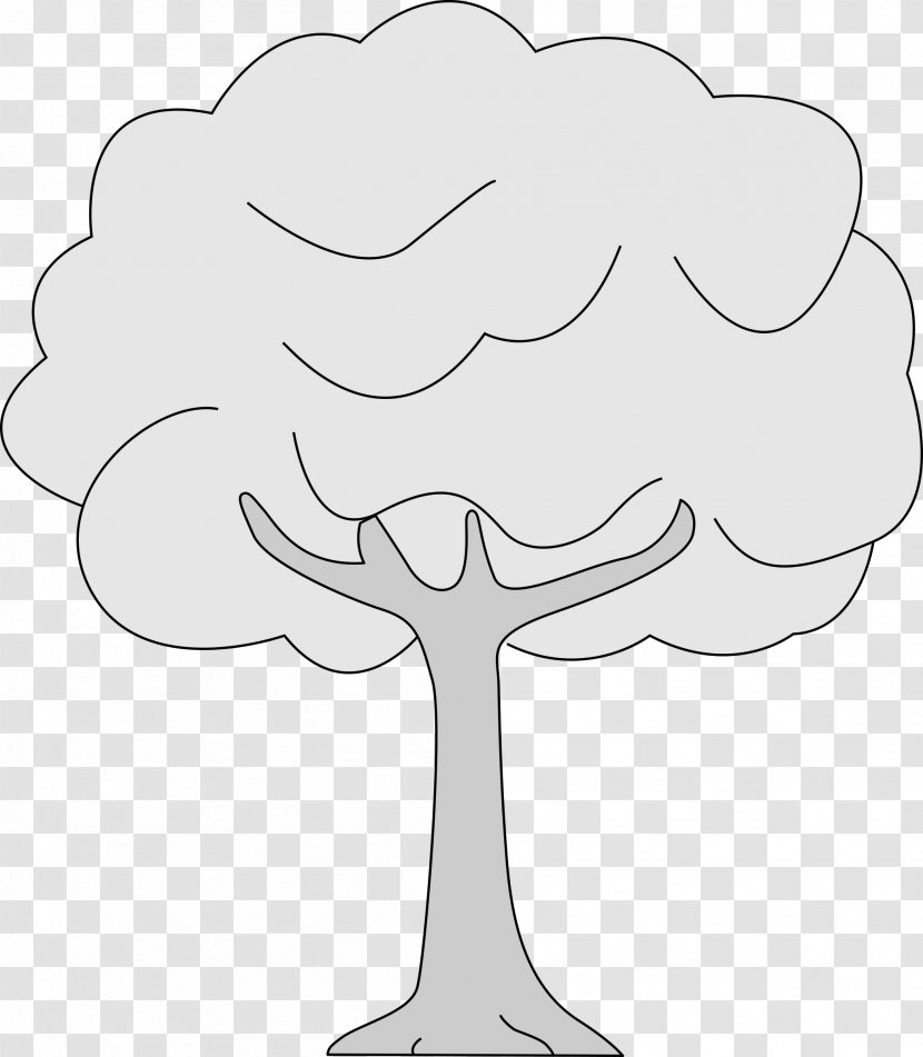 Tree Woody Plant Drawing Trunk Clip Art - Line - Colors Clipart Transparent PNG