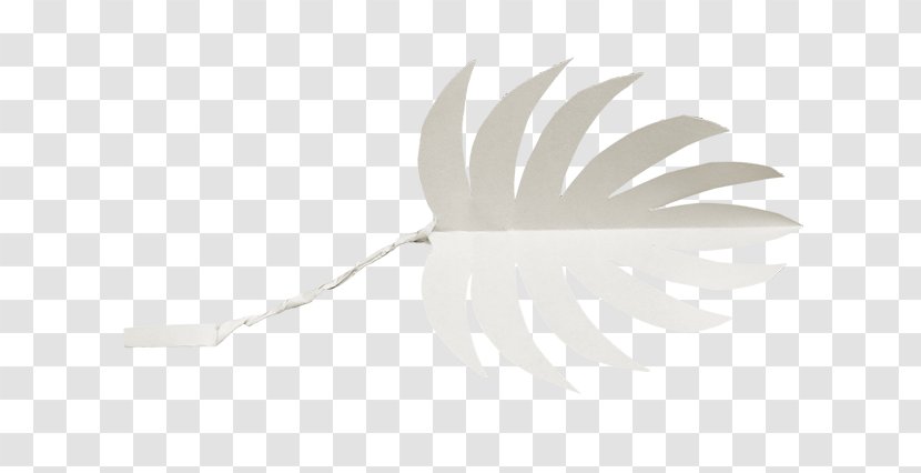 White Black Pattern - Leaf - Decoration Material Transparent PNG