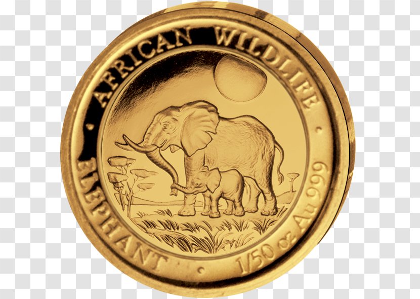 Gold Coin Ounce Elephantidae - Silver Transparent PNG