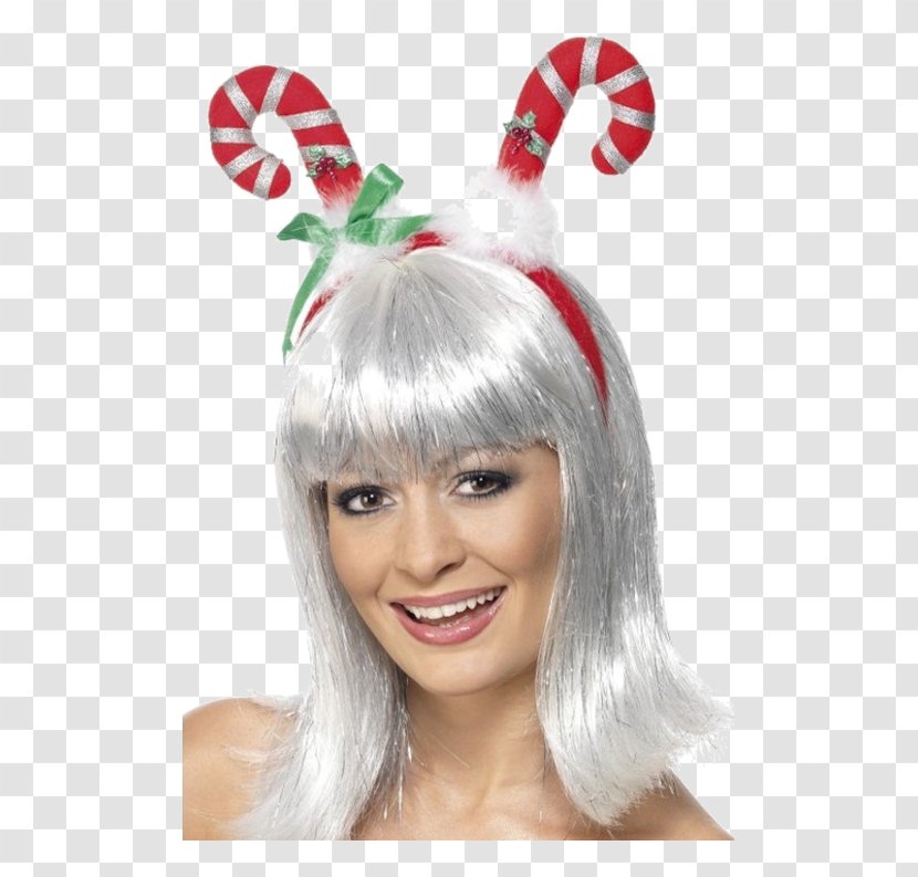 Hat Christmas Ornament Wig Clothing Accessories - Hair Transparent PNG
