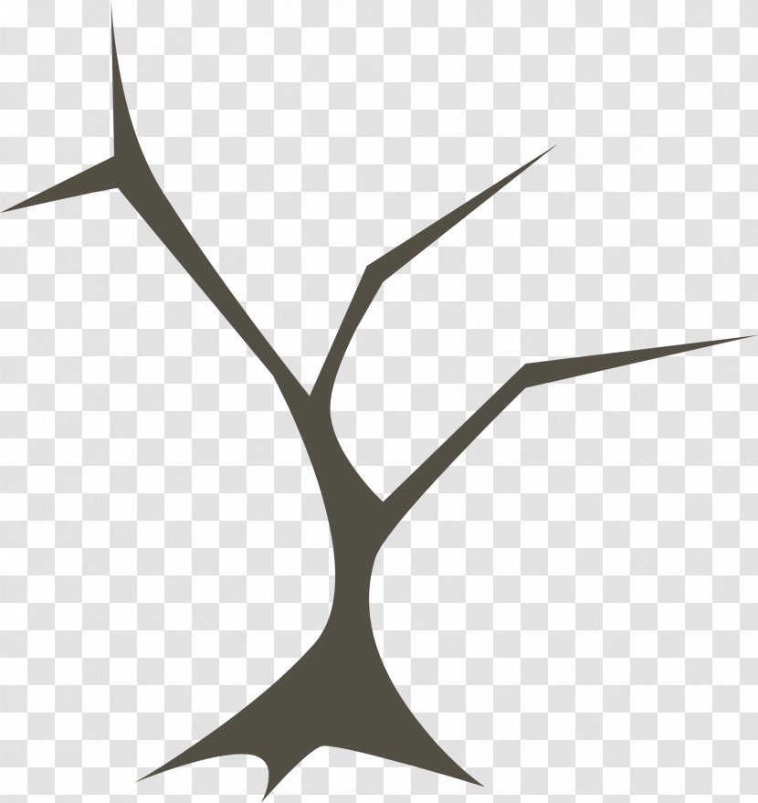 Vector Graphics Branch Image Tree Transparent PNG