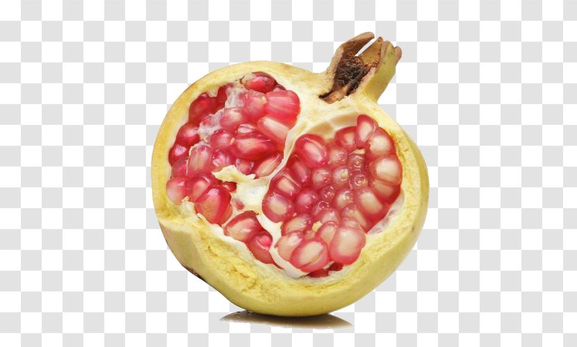 Pomegranate Pie - Flower - Organic Transparent PNG
