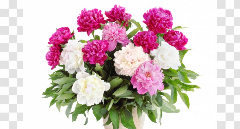 Peony Flower Bouquet Stock Photography Desktop Wallpaper Transparent PNG