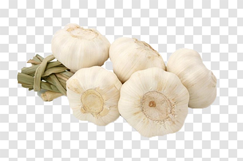 Garlic Food Vegetable Aroma Fruit - Onion Transparent PNG