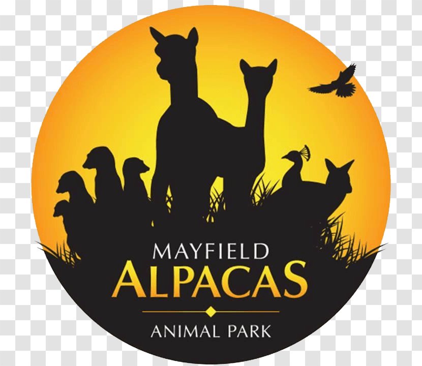 Mayfield Alpacas Llama Animal Zoo - Brand - Label Transparent PNG