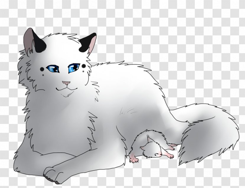 Kitten Whiskers Domestic Short-haired Cat Tabby - Frame Transparent PNG