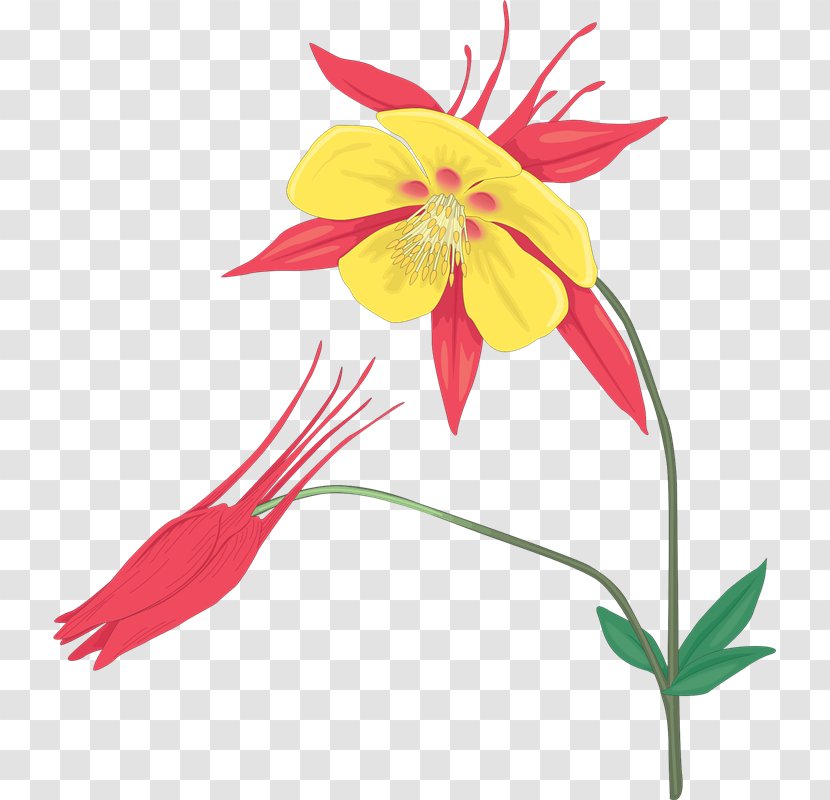 Floral Design Clip Art - Plantas Transparent PNG