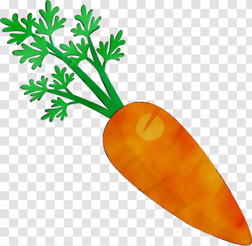 Stew Meat Daube Carrot Ecuadorian Cuisine - Herb - Food Transparent PNG