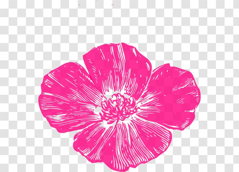 California Poppy Clip Art Common - Geranium - Anzac Transparent PNG