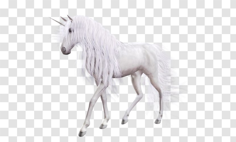 Horse Unicorn Clip Art - Fictional Character - Background Transparent PNG