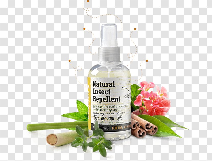 Mosquito Household Insect Repellents Essential Oil DEET Cedar - Bug Spray Transparent PNG