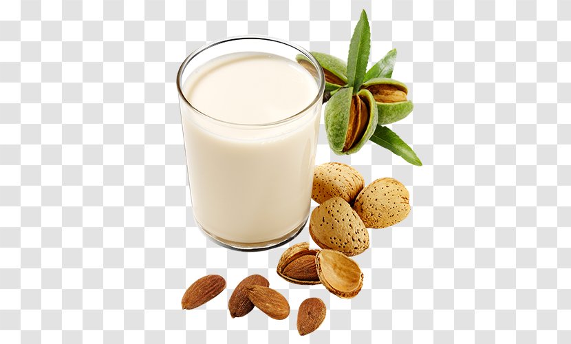 Almond Milk Plant Substitute Cream - Irish - Latte Transparent PNG
