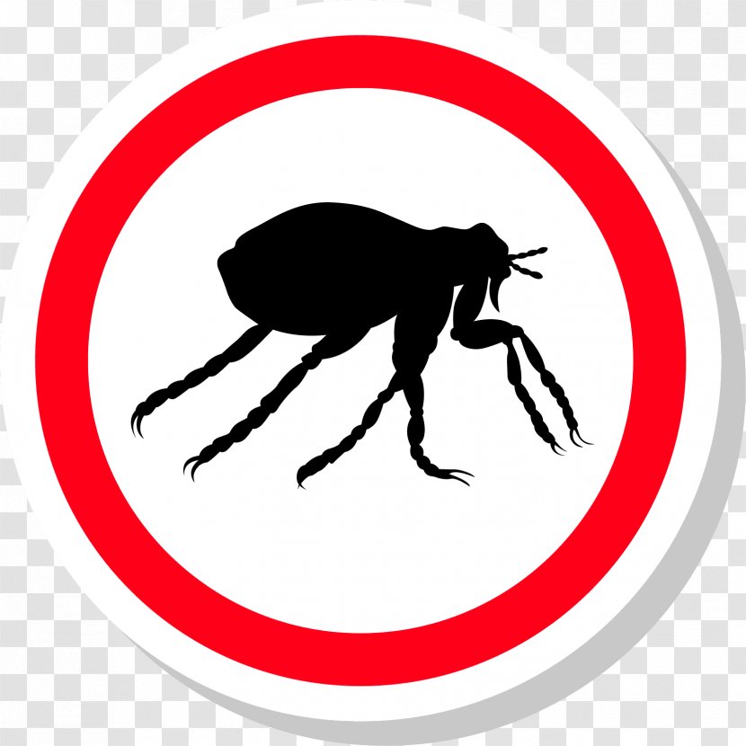 Insect Pest Control Flea Treatments - Area Transparent PNG