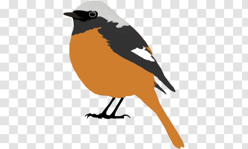 European Robin Common Nightingale Lark American Sparrows Beak - Old World Oriole - Tori Transparent PNG