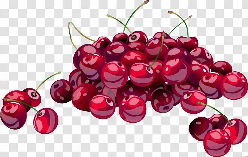 Cherries Jubilee Cherry Clip Art - Frutti Di Bosco Transparent PNG