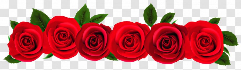 Rose Clip Art - Cut Flowers Transparent PNG