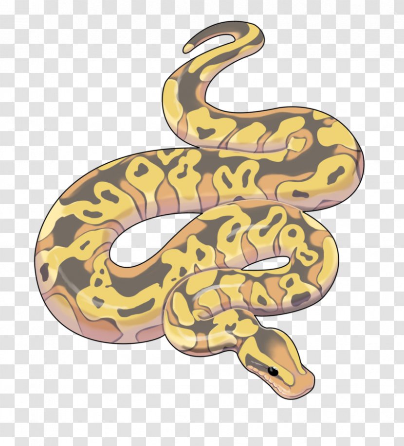 Boa Constrictor Artist Snake - Reptile Transparent PNG
