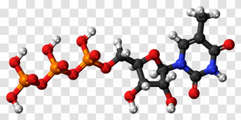Adenosine Triphosphate Diphosphate Pyrophosphate Uridine - Cartoon - Tree Transparent PNG